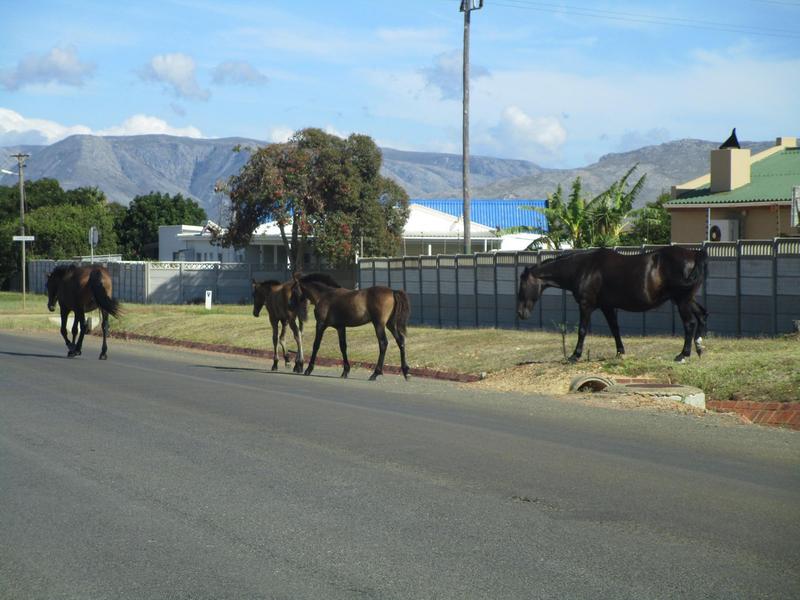 0 Bedroom Property for Sale in Fisherhaven Western Cape